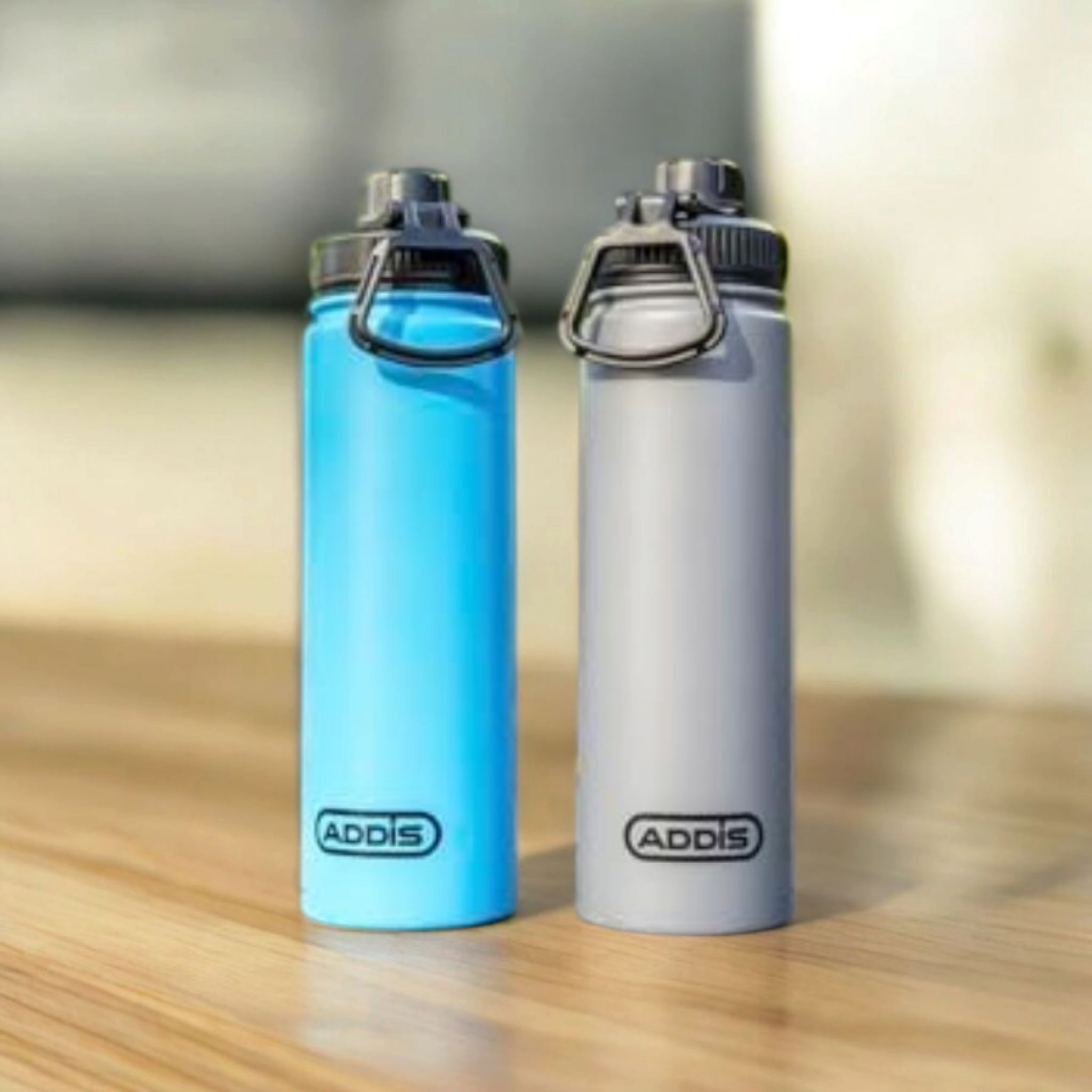 Addis Atlas Bottle 680ml Stainless Steel