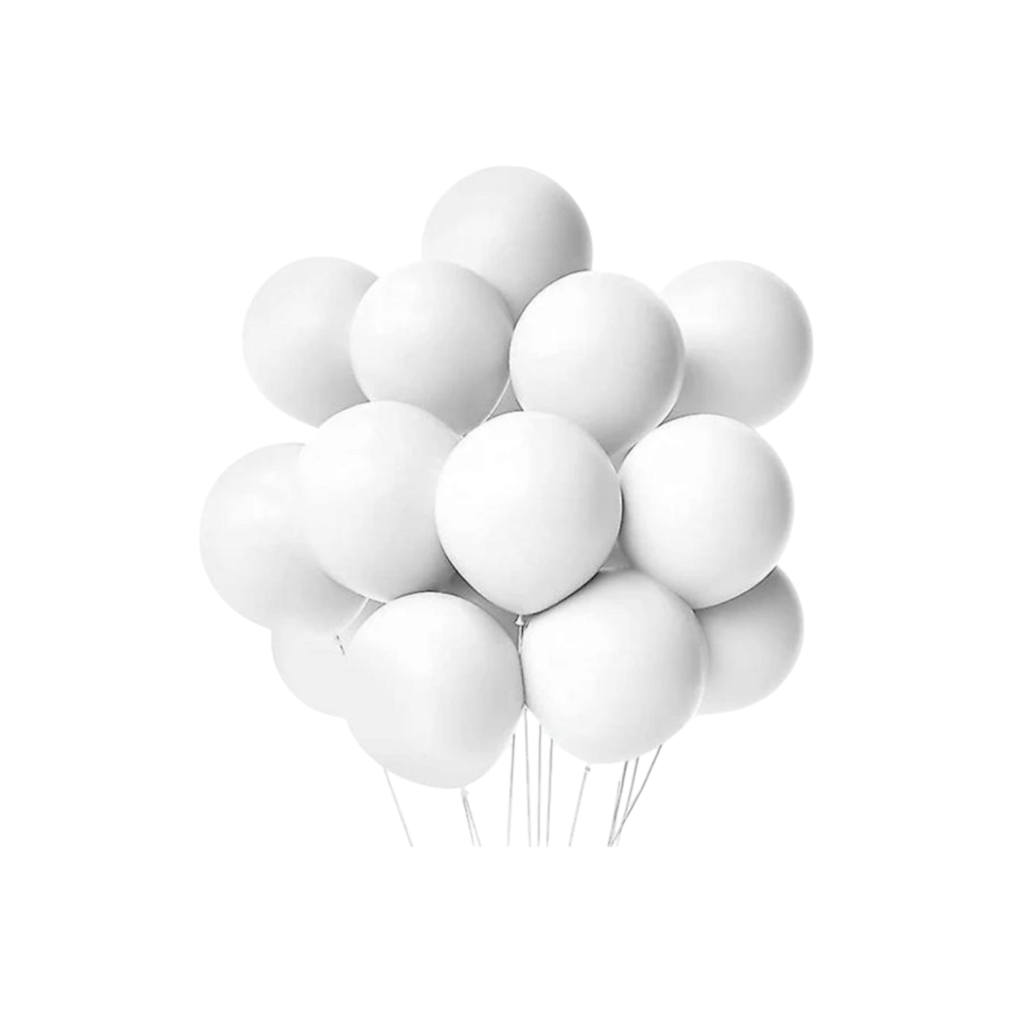 Latex Balloons 12inch 2.8g 10pack