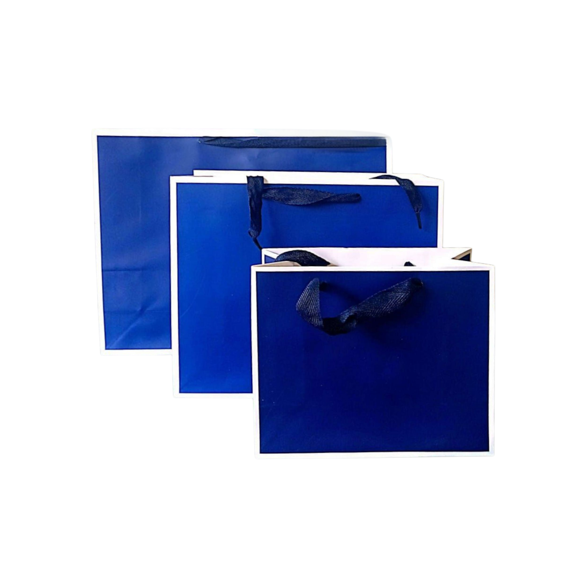 Gift Boutique Shopping Paper Bag With Black Border lines