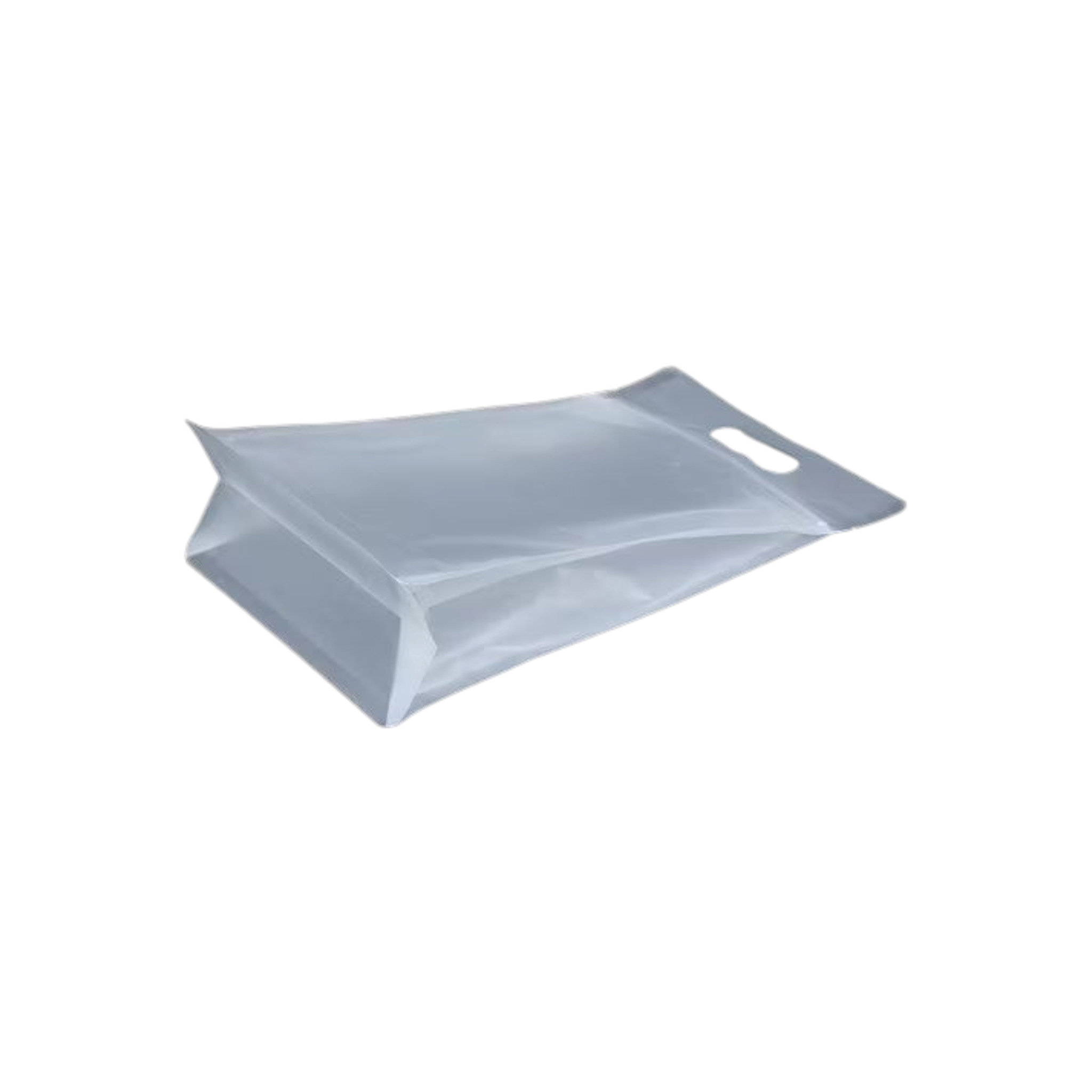 Food Grade Laminated Zip Lock Stand-Up Carry Plastic Bags Frosted with Handle & Flat Bottom 10pack