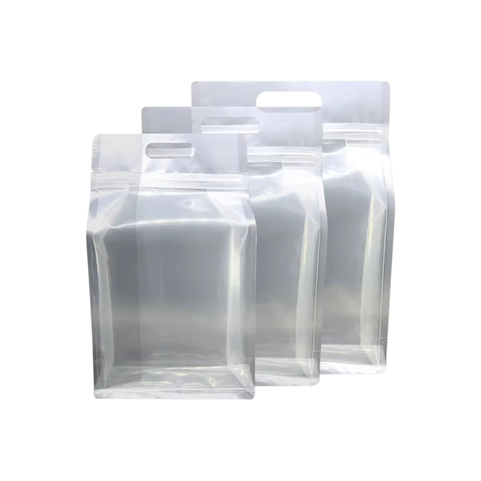 Food Grade Laminated Zip Lock Stand-Up Carry Plastic Bags Frosted with Handle & Flat Bottom 10pack