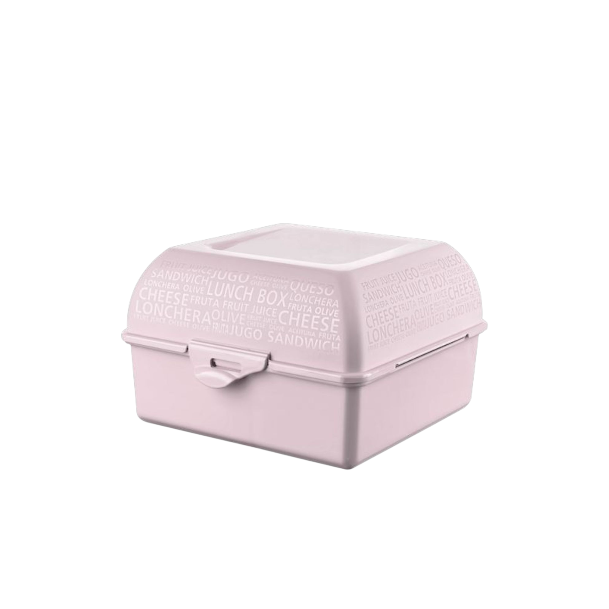 Titiz Takeaway Lunch Box with Division 850ml AP9081