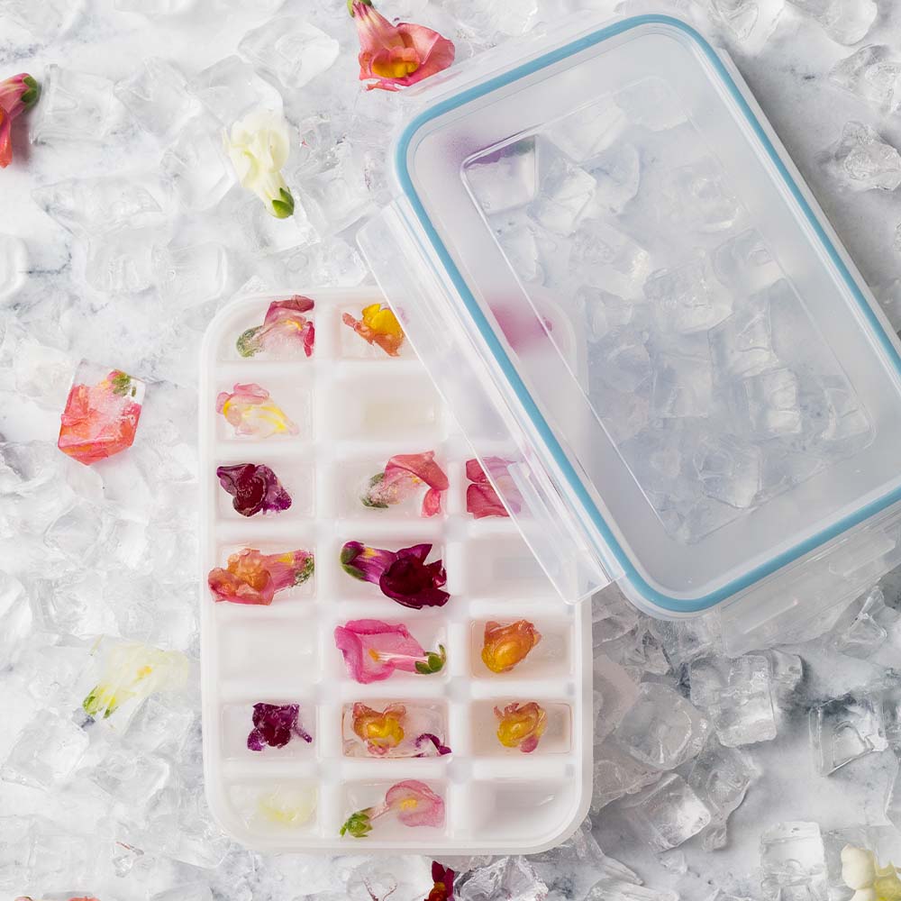 Snappy 21-Cube Ice Tray Container SN-IC21
