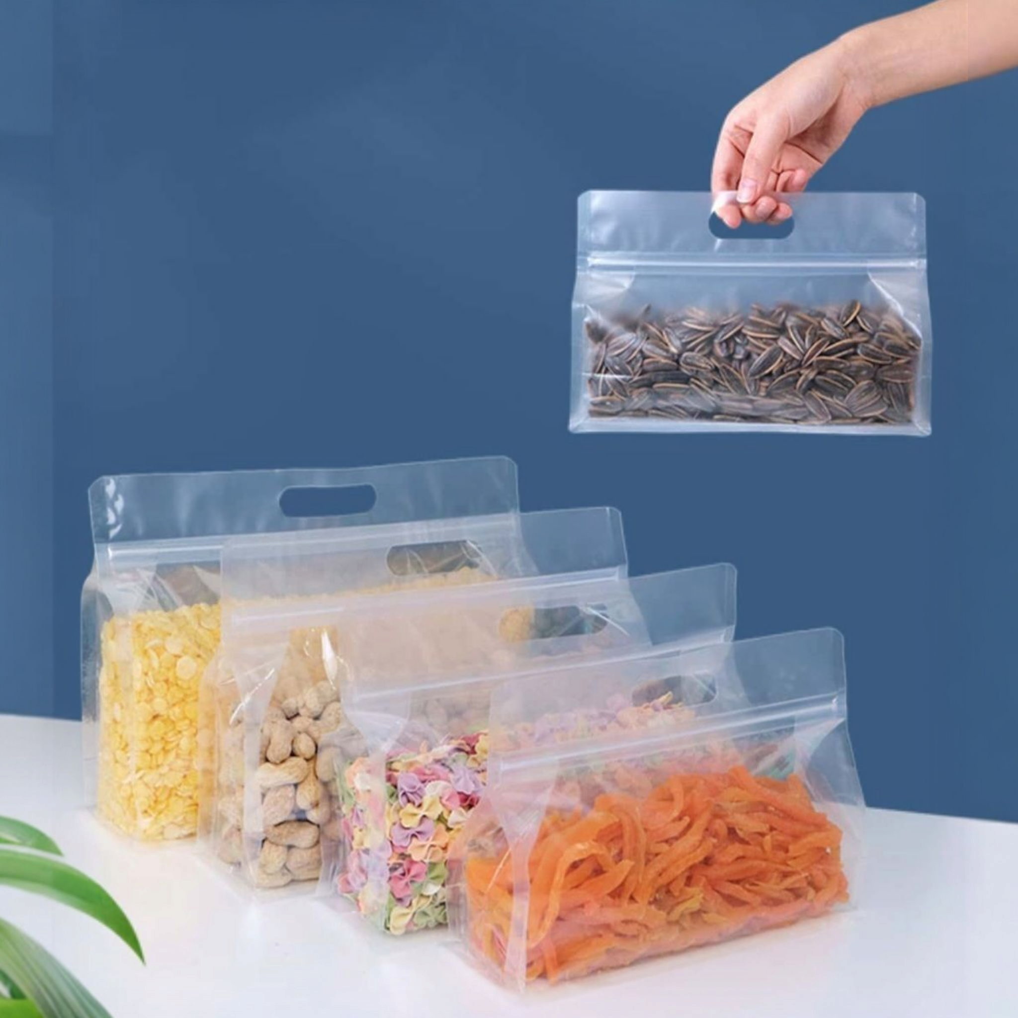 Food Grade Zip Lock Stand-Up Carry Pouch Plastic Bags - Octagon Landscape Transparent with Handle Flat Bottom Gusset 10pack Resealable