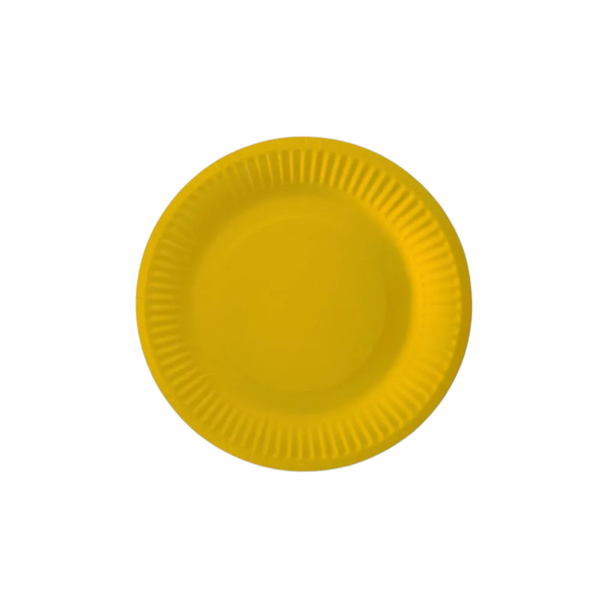Party Paper Plates 9inch 10pack