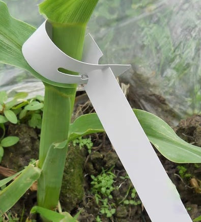 Garden Self-Tie Tags 19x180mm 160gsm Plant Stem Labels 1000pcs