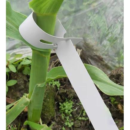 Garden Self-Tie Tags 19x180mm 160gsm Plant Stem Labels 1000pcs
