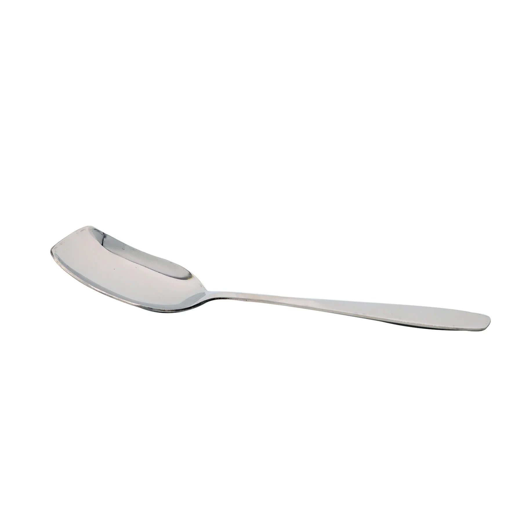 Stainless Steel Multi Server Spoon 10inch