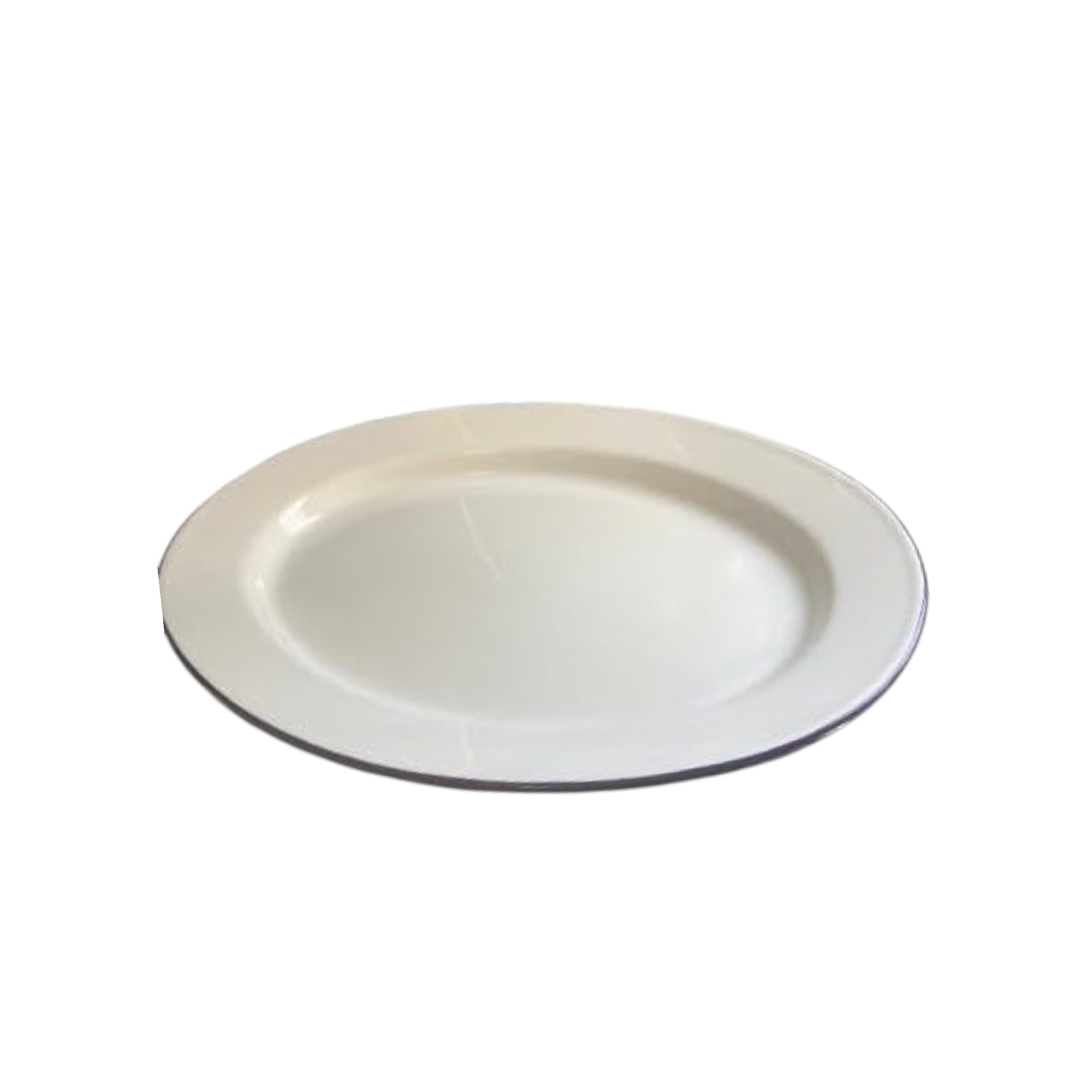 Enamel White Plate 36cm Oval