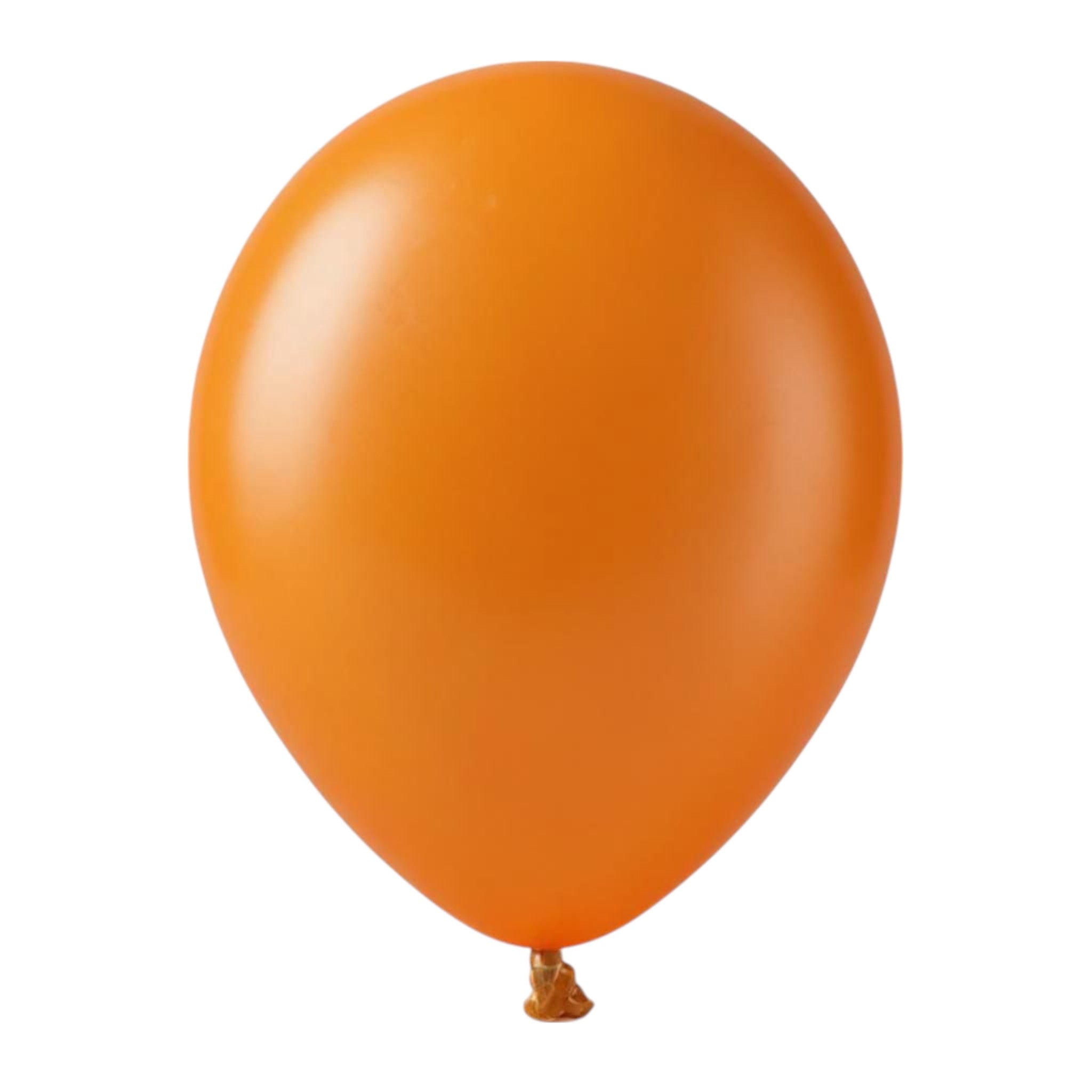 Latex Metallic Party Balloons 10pack