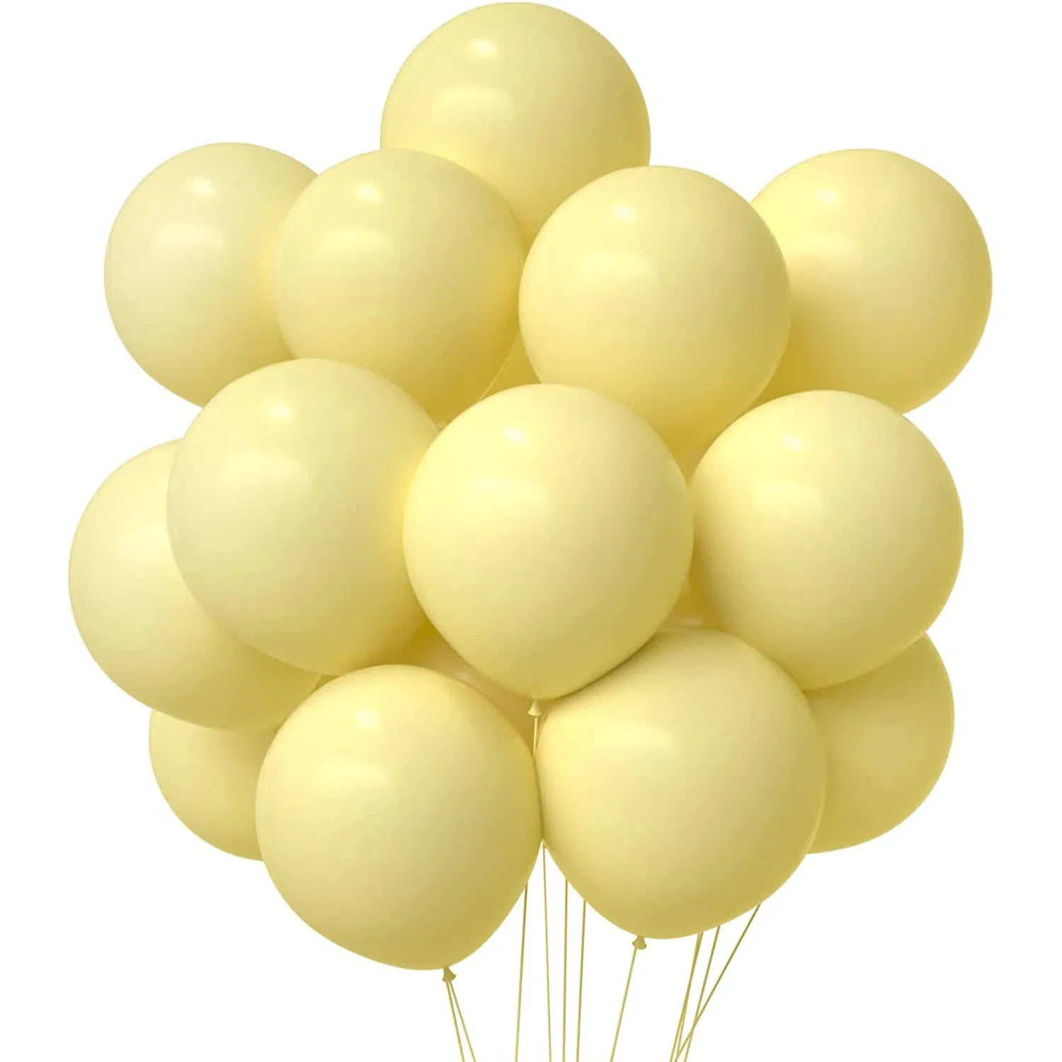 Party Latex Pastel Balloon 2.8g 10.5inch 10pack
