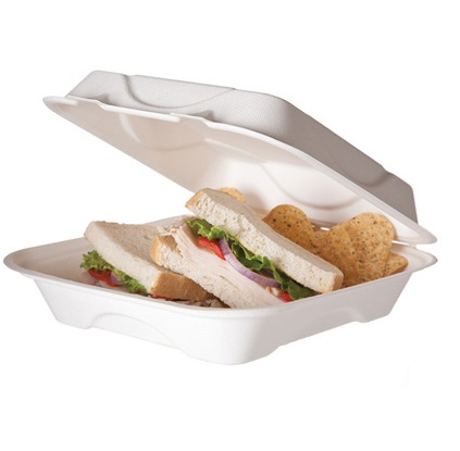 Bio Sandwich Lunchbox 8inch Takeaway Clamshell Sugar Cane