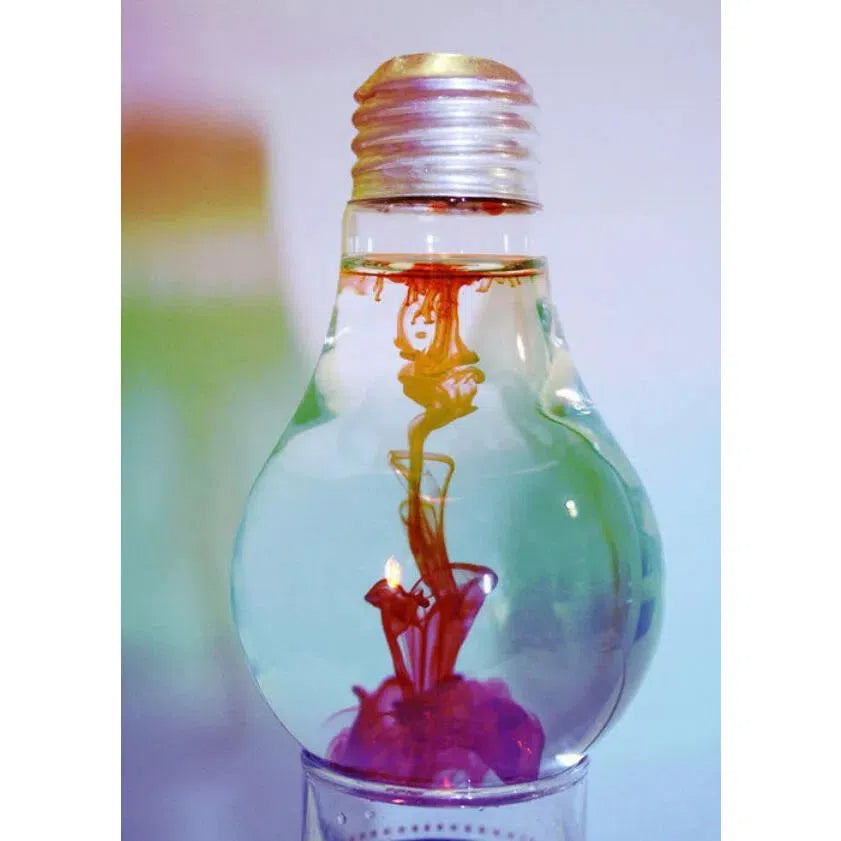 Glass Bulb Jar with Stainless Steel Straw In Box