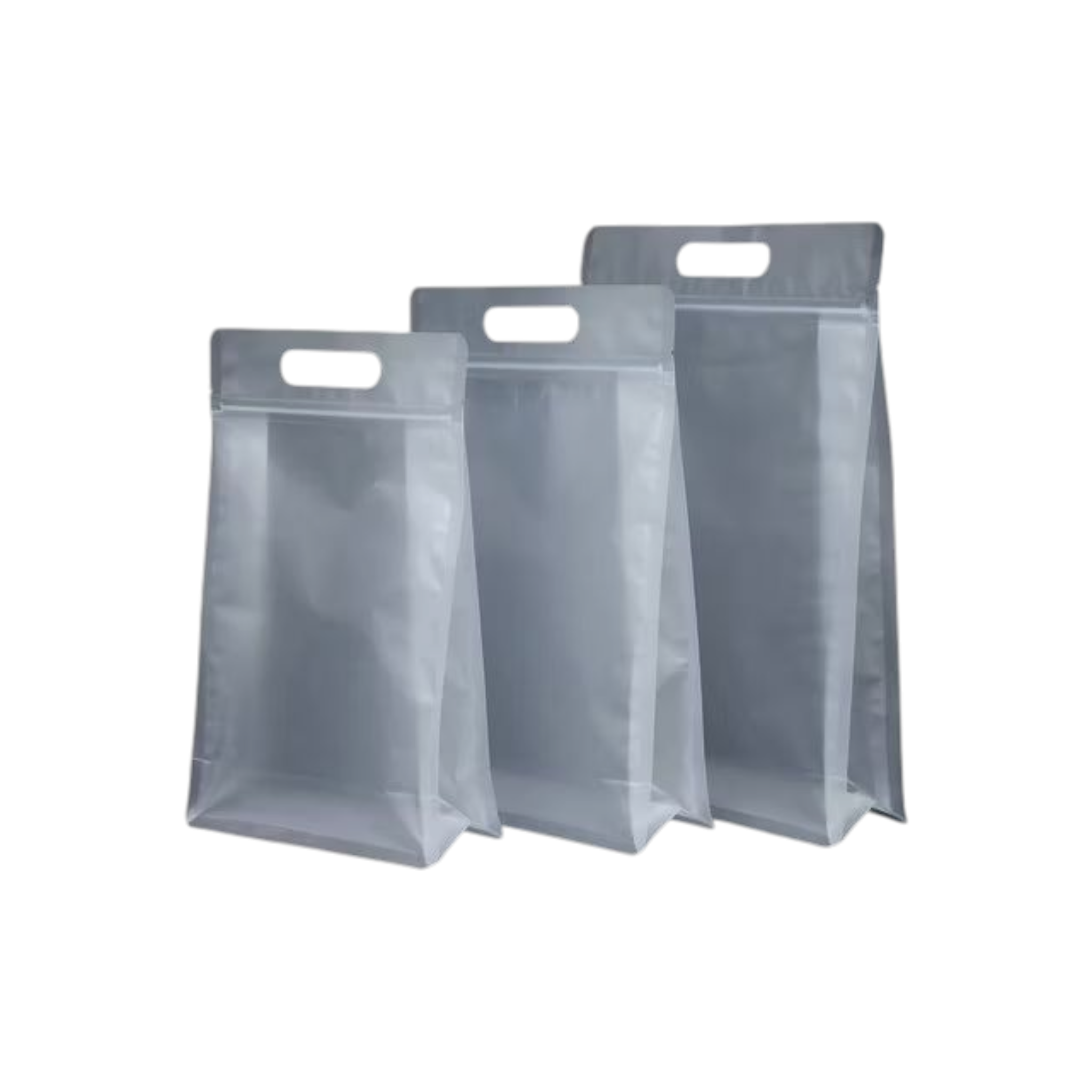 Food Grade Zip Lock Stand-Up Carry Pouch Plastic Bags Portrait Transparent with Handle Flat Bottom Gusset 10pack Resealable