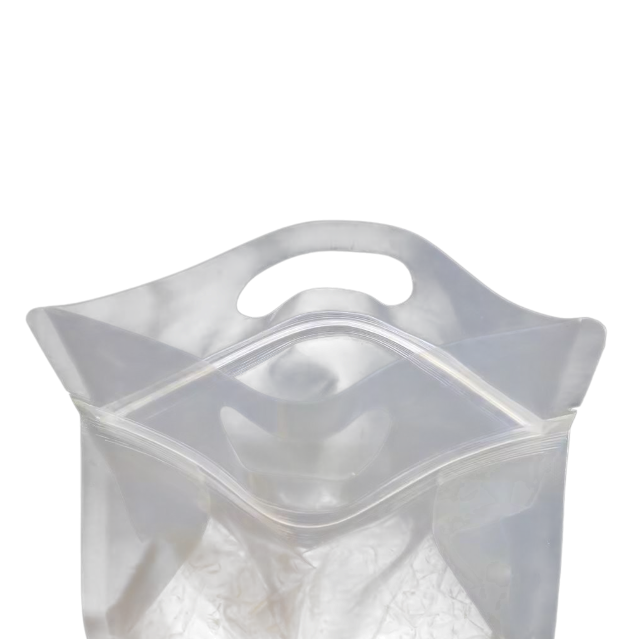 Food Grade Zip Lock Stand-Up Carry Pouch Plastic Bags Portrait Transparent with Handle Flat Bottom Gusset 10pack Resealable