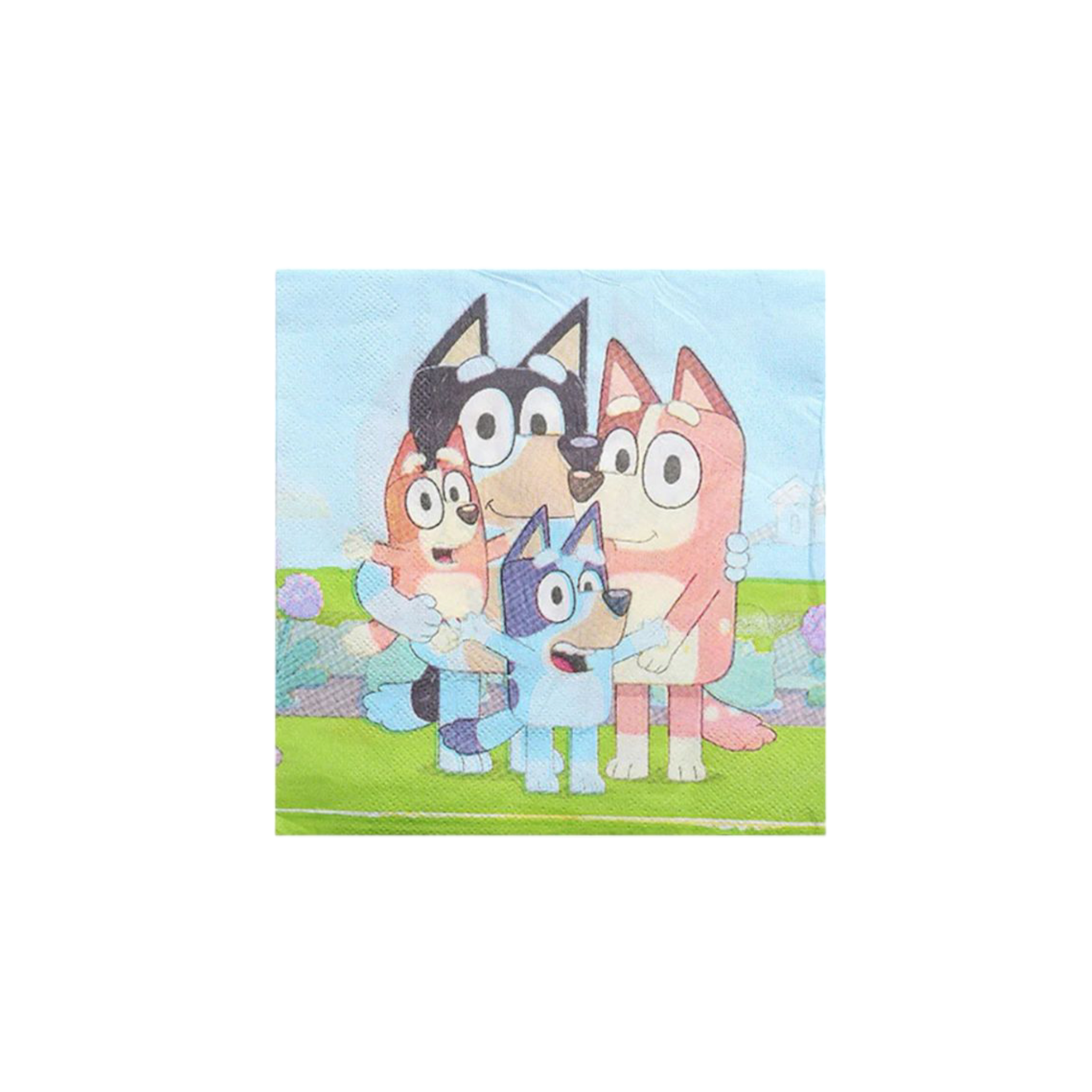 Disney Bluey Theme Party Supplies Set