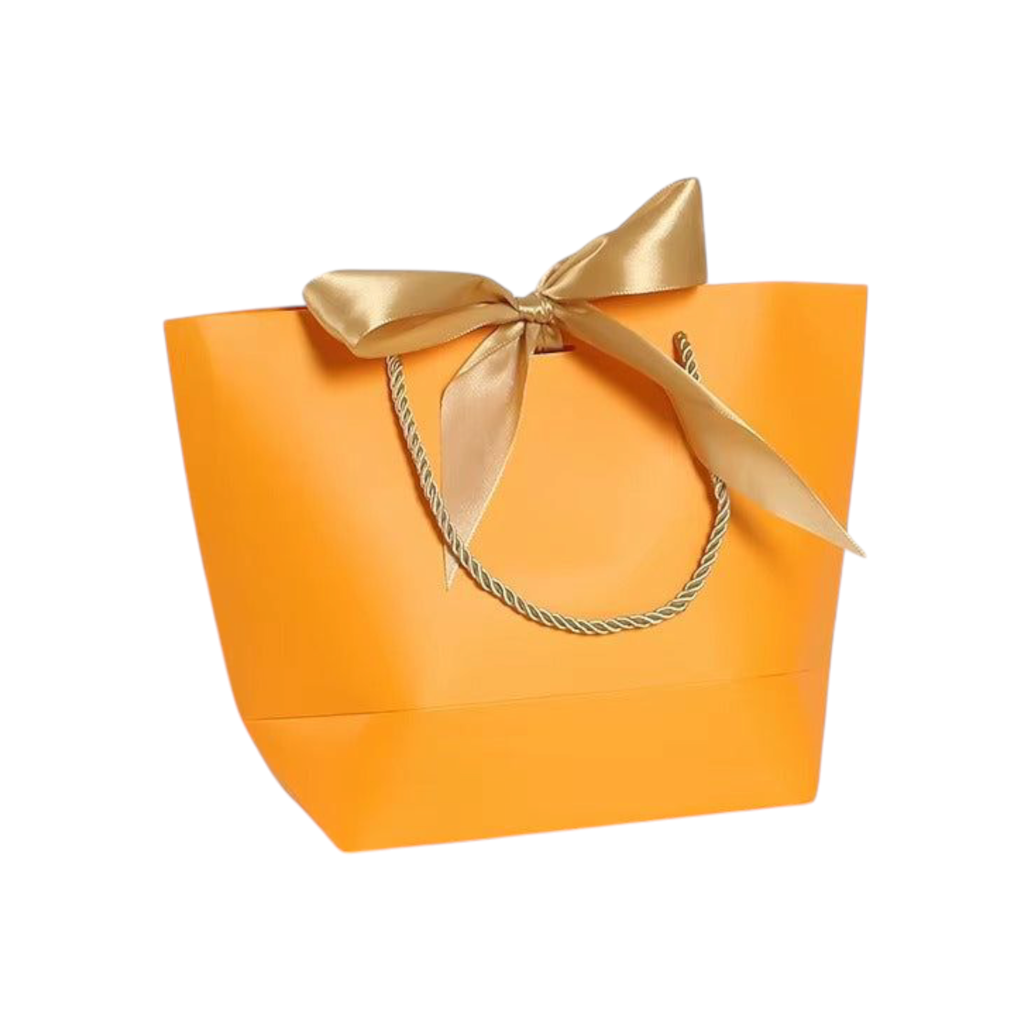 Designer Gift Paper Bag with Gold String Handle & Ribbon