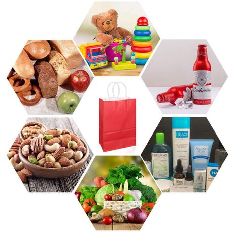 Kraft Paper Gift Bag 120gsm with Paper Twist Handle