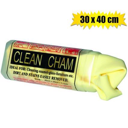 Chamois Synthetic with Container 300x400mm
