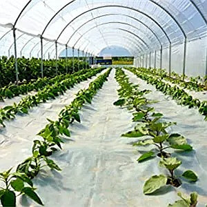 PVC Table Cover Clear 1.37x1m Sheeting 200microns