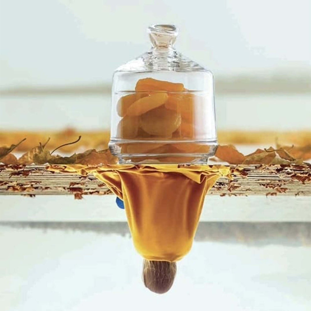 LAV Glass Dome Jar 260ml with Base SGN053