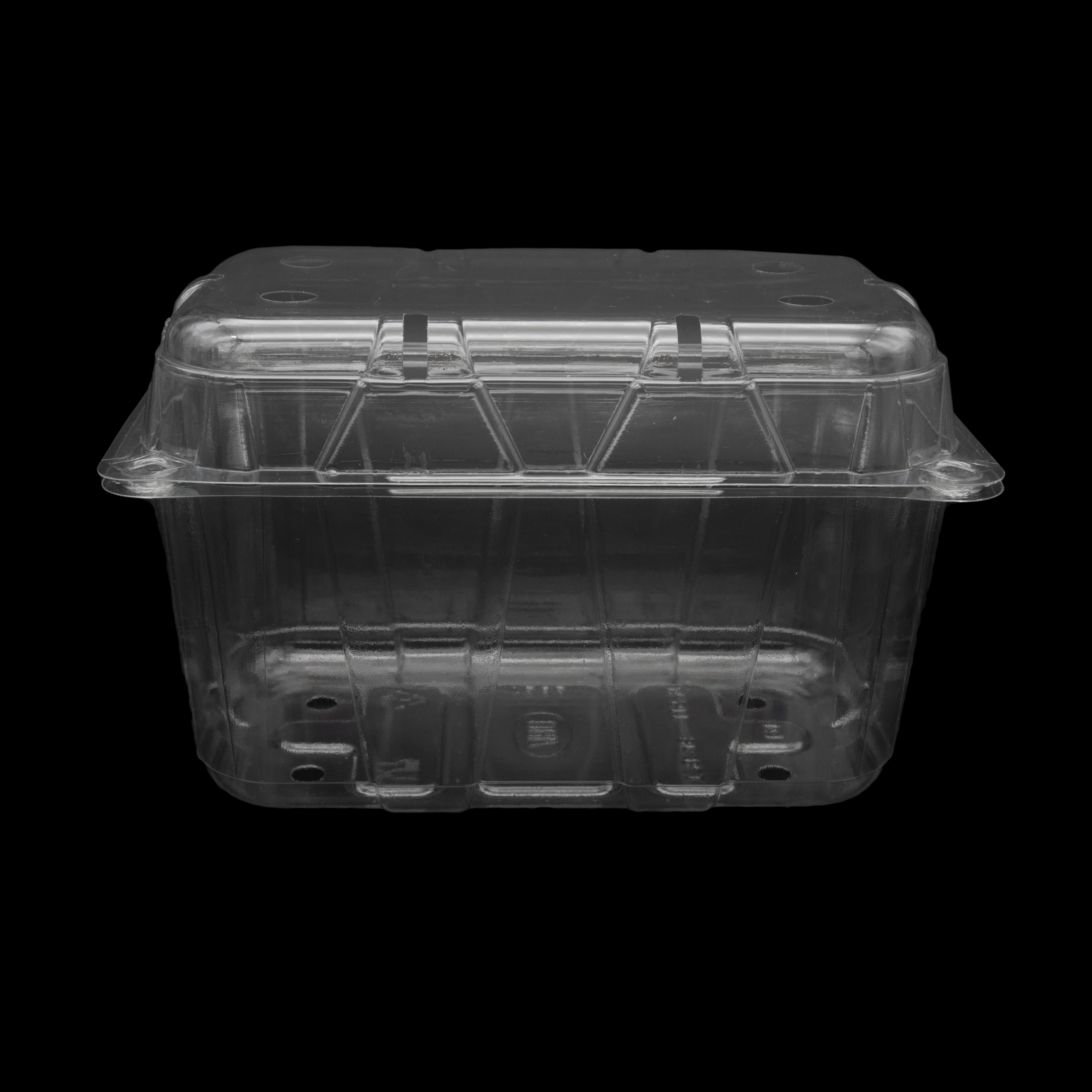 Zibo Fruit Salad Punnet Clamshell Medium CS78/46 - T175/T282