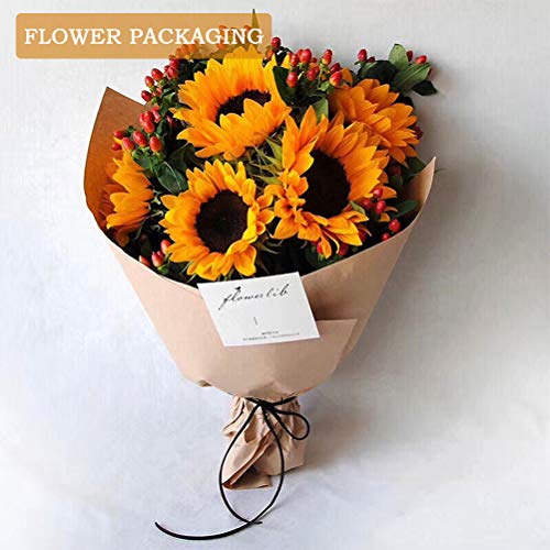 Kraft Brown Paper Packaging Roll