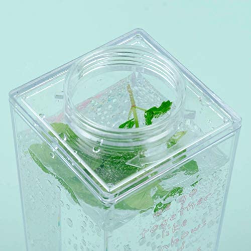 Milk Carton Bottle 500ml Acrylic Plastic