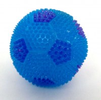 Flashing Toy Pet Ball