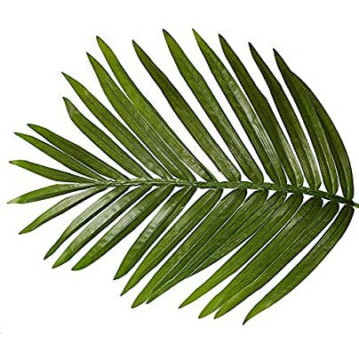 Artificial Fern Tree 196cm 296