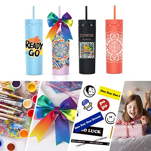 473ml Skinny Drinking Tumbler Acrylic Reusable with Lid and Straw