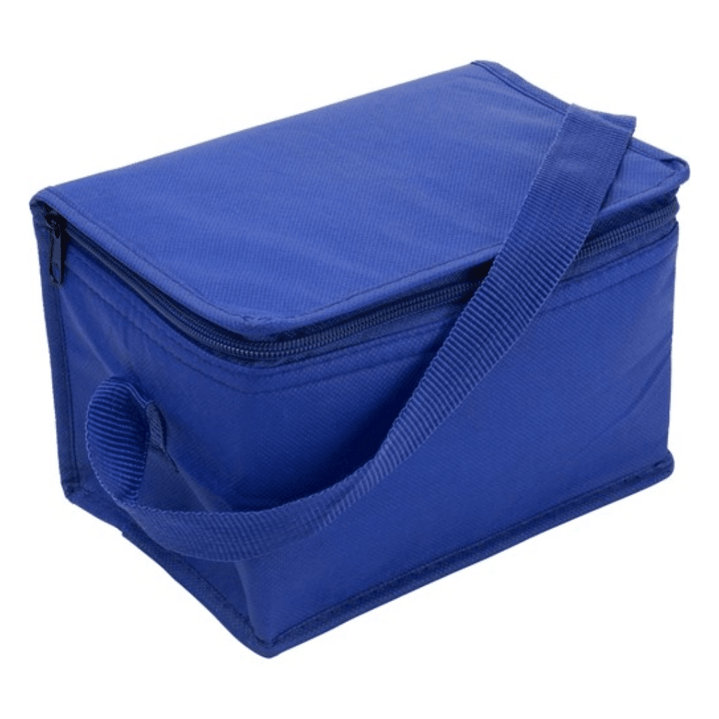Non-Woven Small Cooler Bag