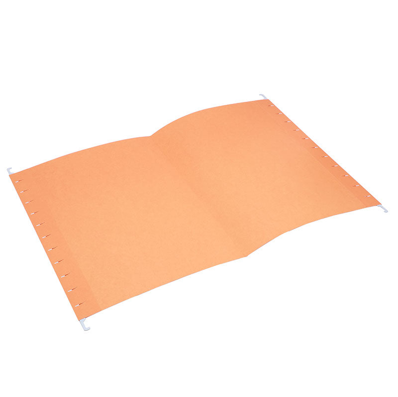 Deli A4 Hanging Document Folder Solid Color 1pc