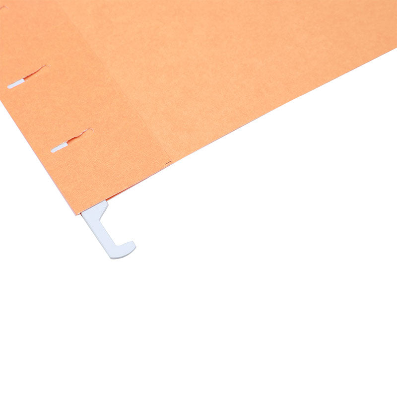 Deli A4 Hanging Document Folder Solid Color 1pc