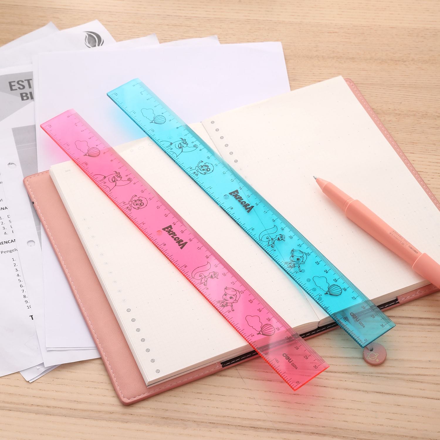 Deli Drafting Ruler 30cm/12Inch