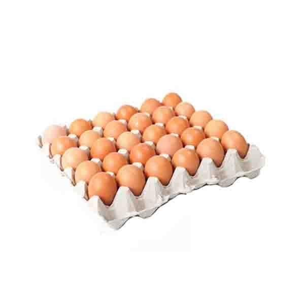 Egg Packaging Trays 2-1/2 Dozen-30 Division - Pack of 150 Trays