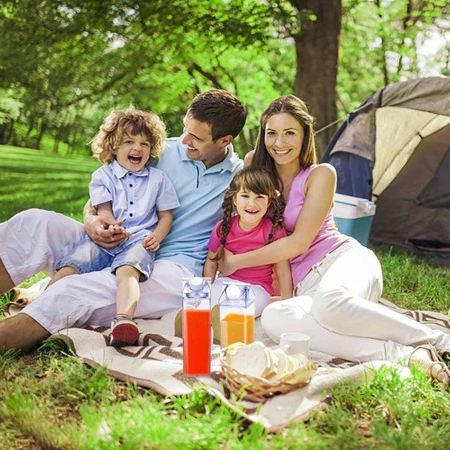 Milk Carton Bottle 500ml Acrylic Plastic