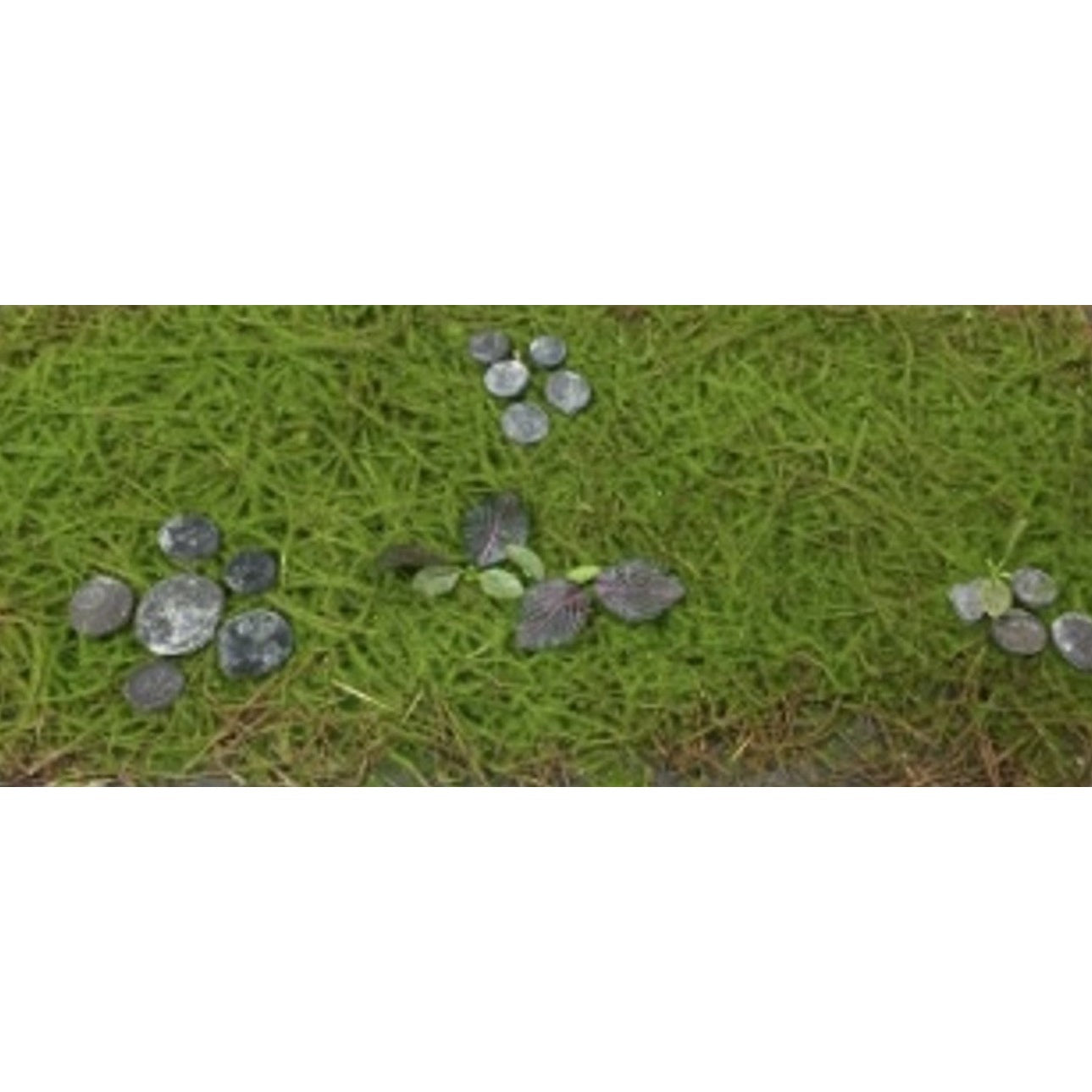 Artificial Green Decorative Duckweed Algae Grass Mat 50cmx100cm with leaves 361