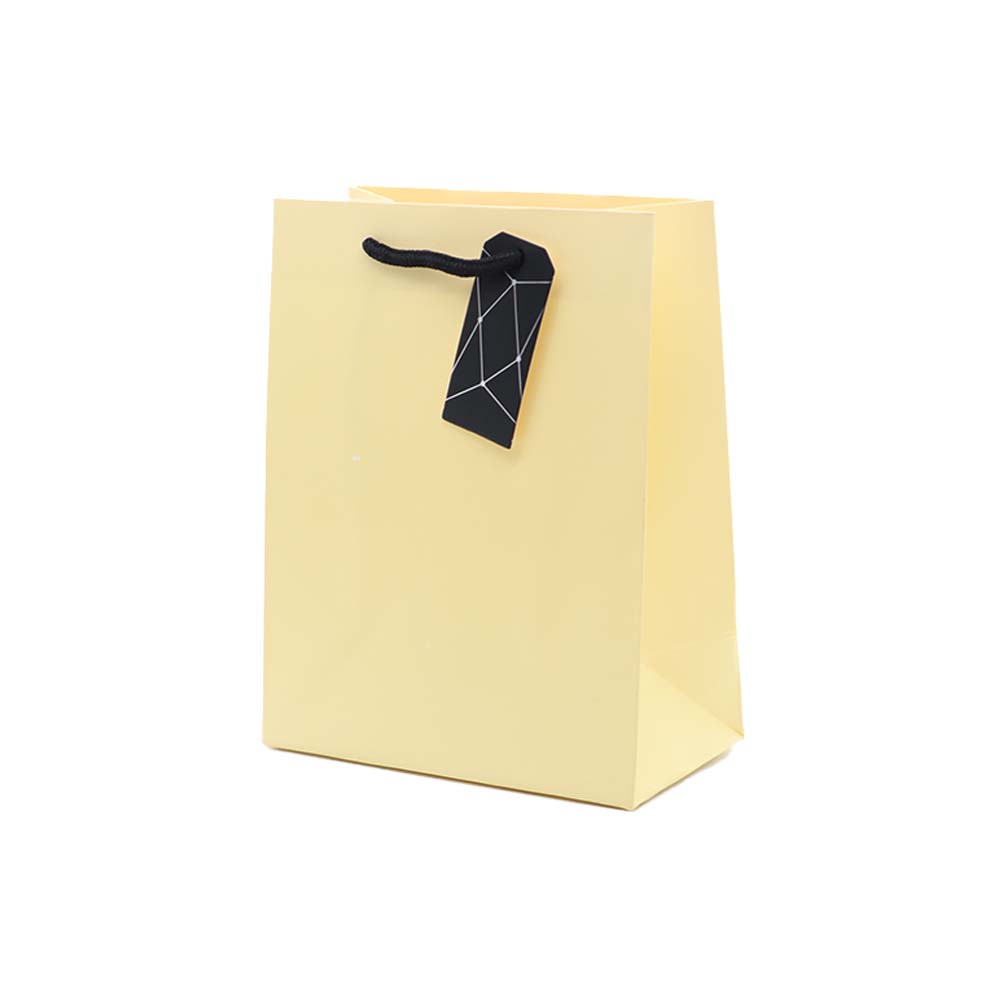 Gift Paper Bag Tag-S 18x23cm Small