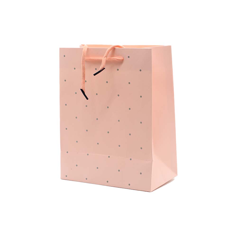 Gift Paper Bag Dots 18x23cm Small