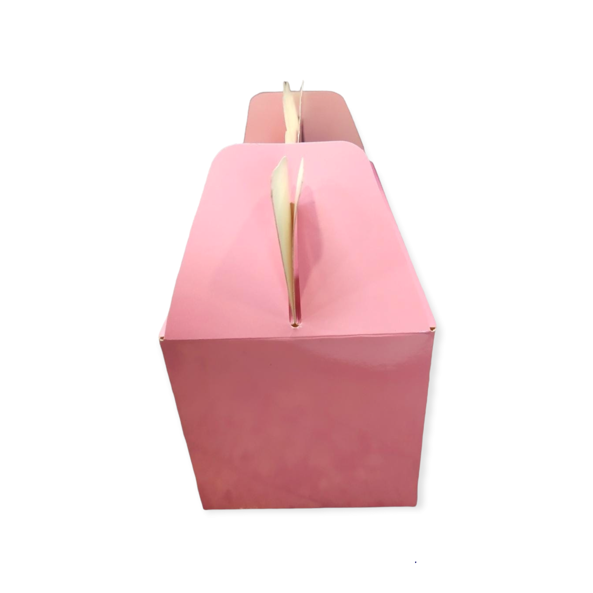 Gift Takeaway Party Treats Box 19x9x9cm with Handle 10pack