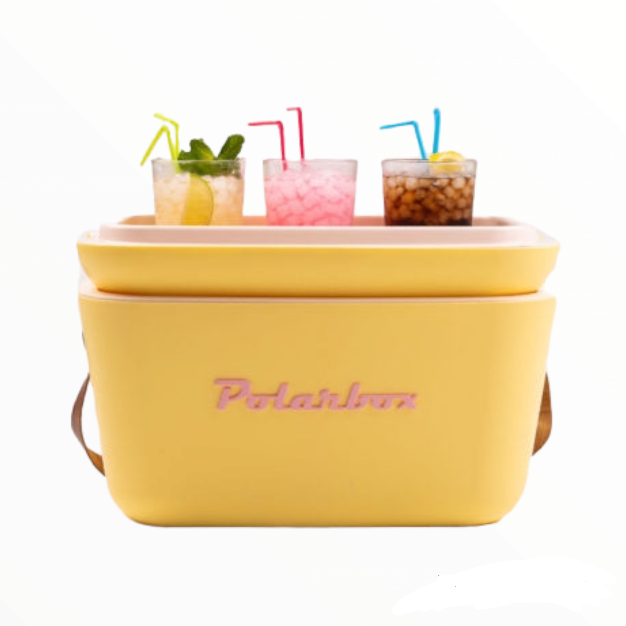 Polarbox 12L Retro Cooler Storage Container
