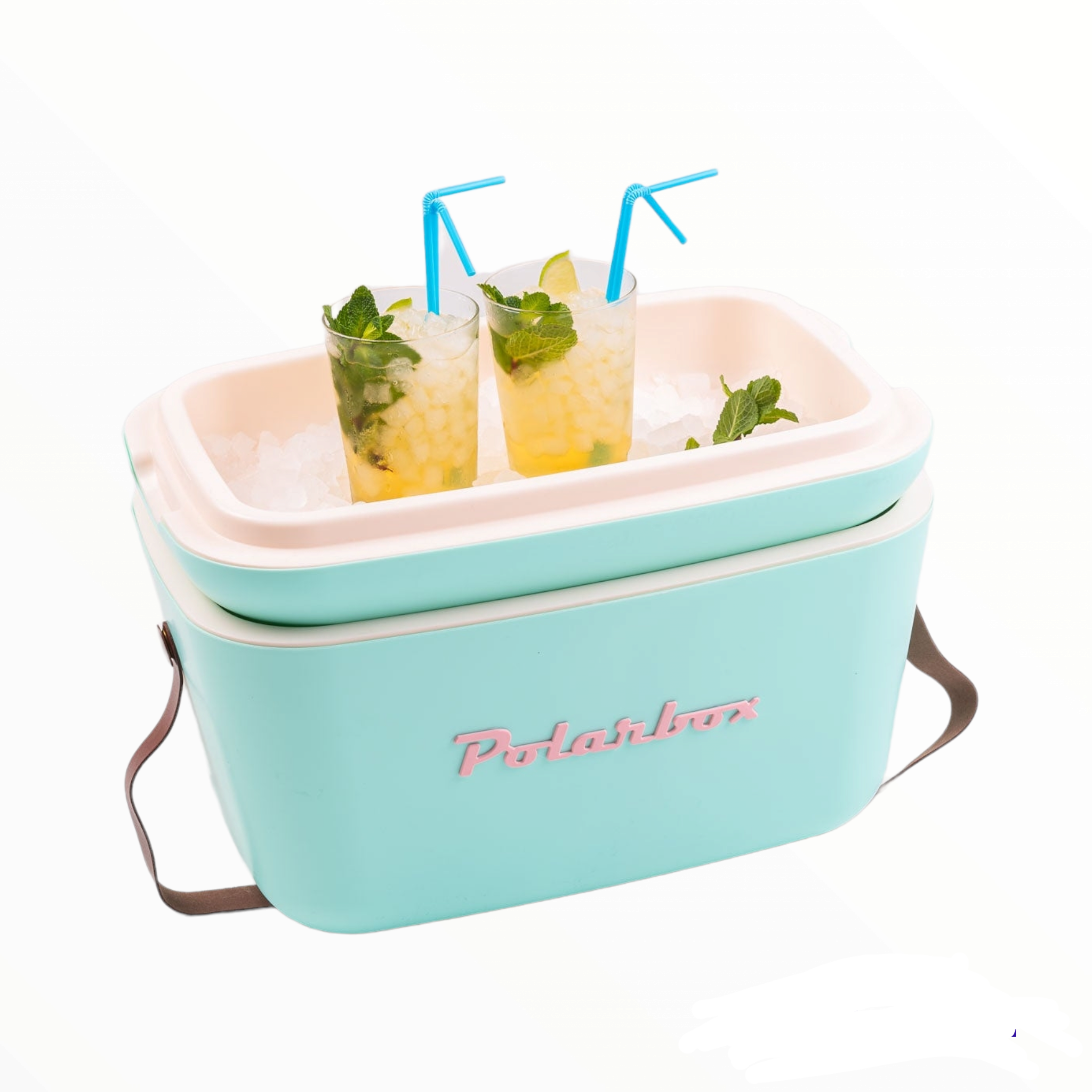 Polarbox 12L Retro Cooler Storage Container
