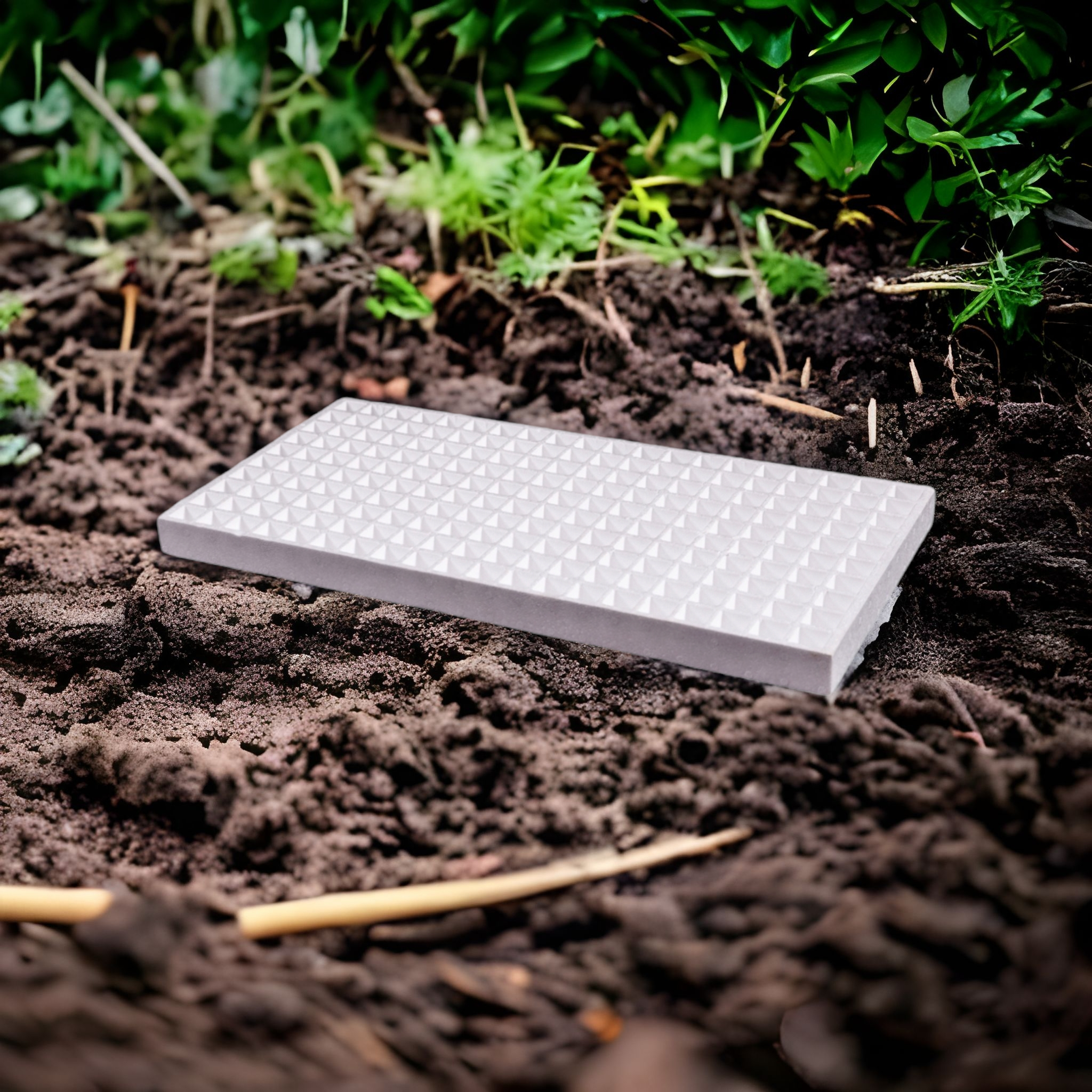 Seedling Trays Polystyrene 200-Cavity Round