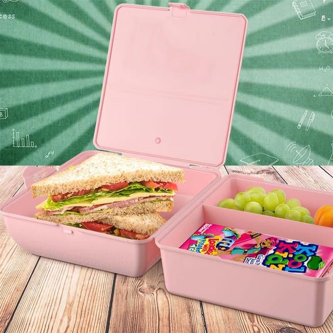 Titiz Takeaway Lunch Box with Division 850ml AP9081
