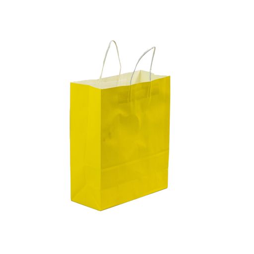 Gift Bag Paper Plain Colour