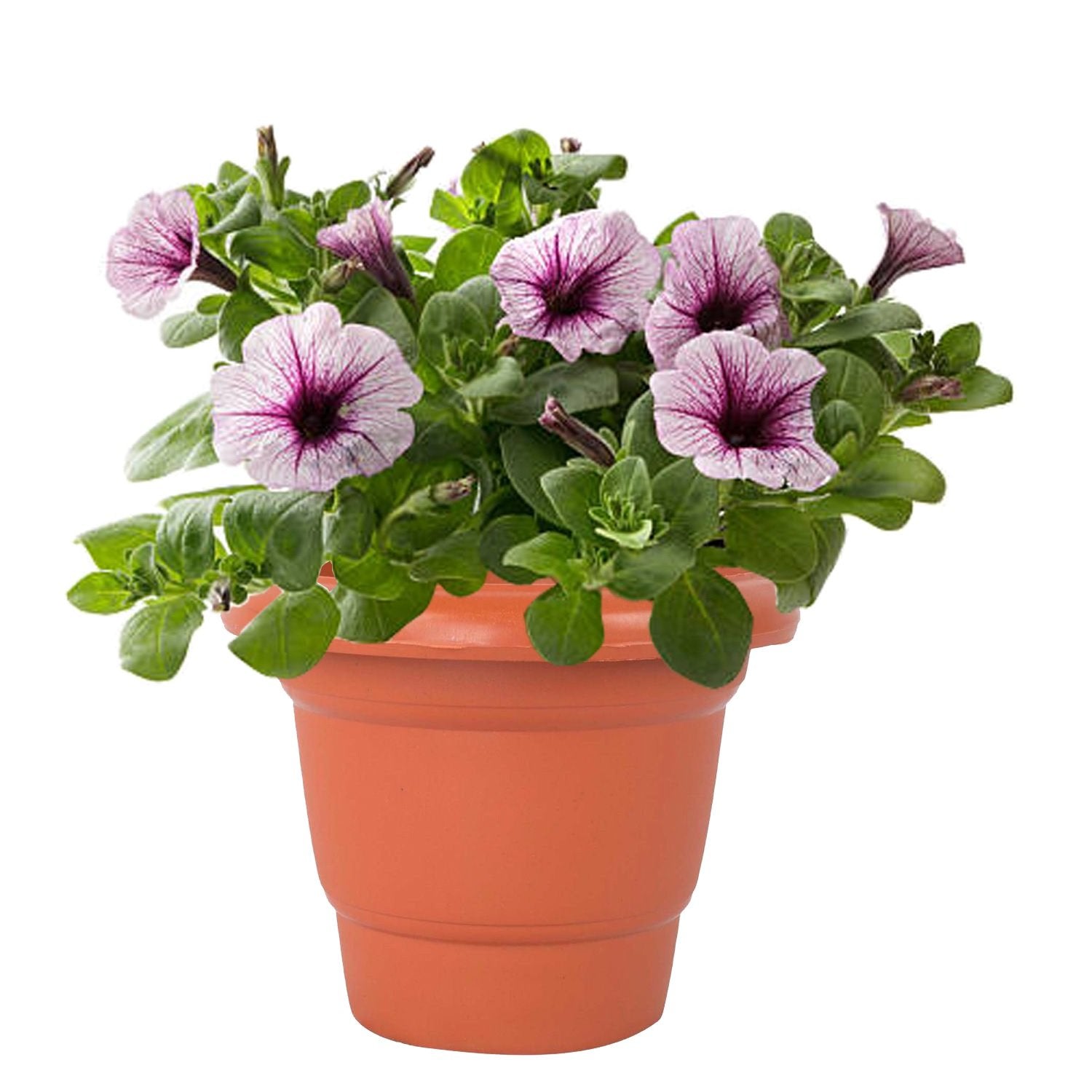 Plant Pot Plastic 19.5cm Pot Round