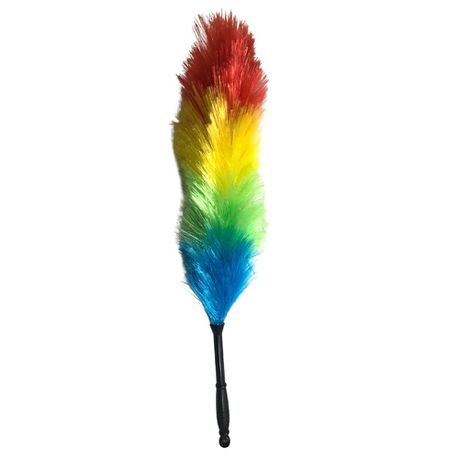 Magic Static Duster 66cm Rainbow Color