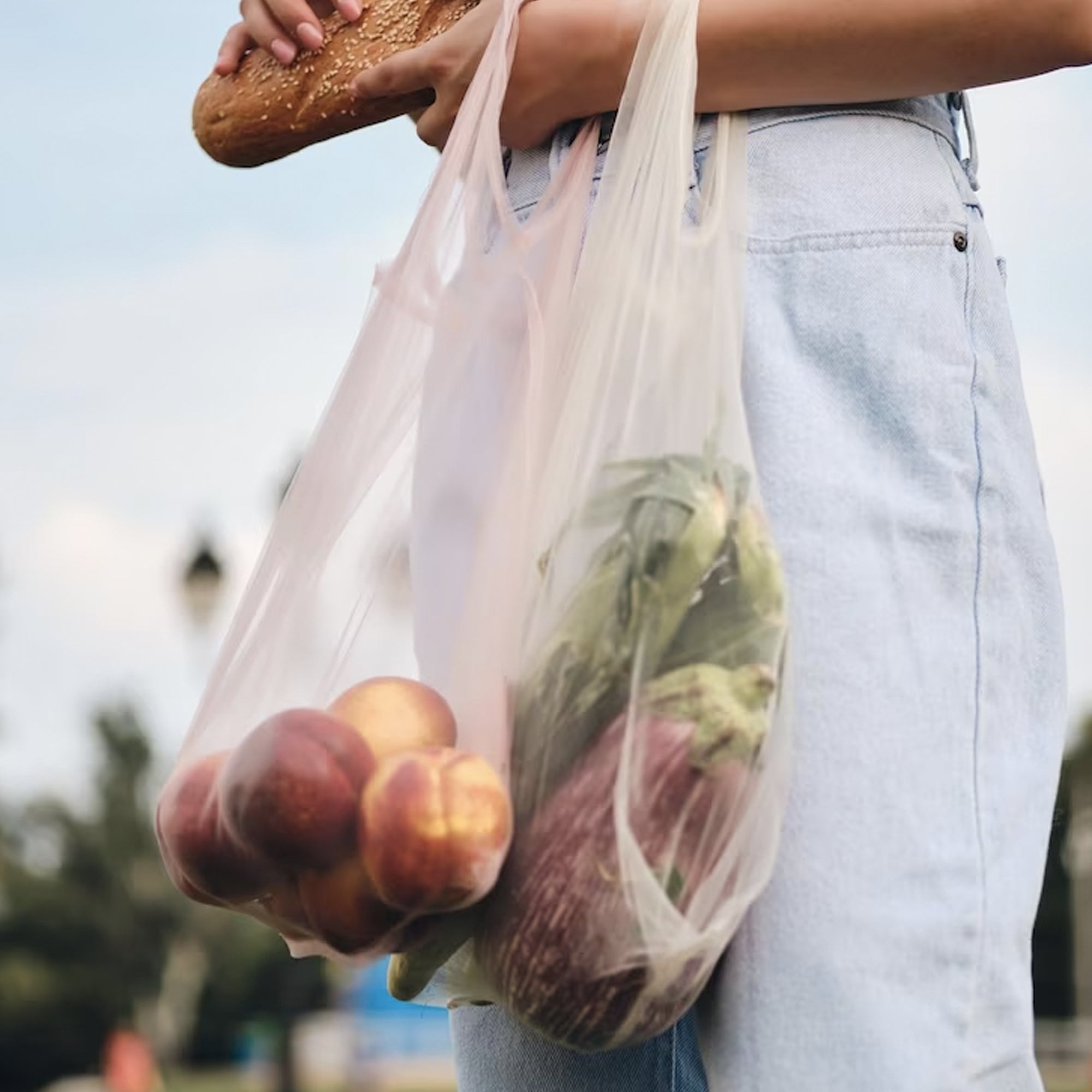 Carrier Bags