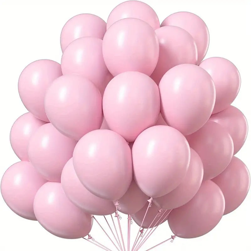 Latex Matte Party Balloons 12inch 10pcs